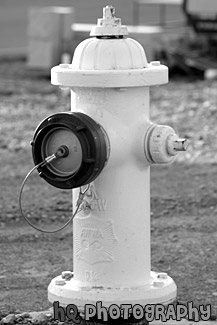 White Fire Hydrant black and white picture