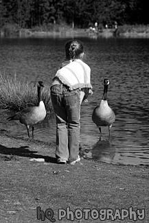 Girl Feeding Geese black and white picture