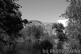 Lake Pond & Trees in Yosemite black and white picture