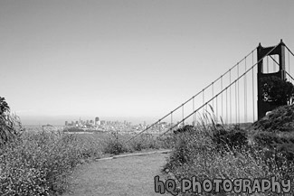 Golden Gate Bridge & Wildflowers on Trail black and white picture