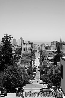 Long Street in Downtown San Francisco black and white picture