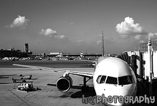 Airplane at the Terminal black and white picture