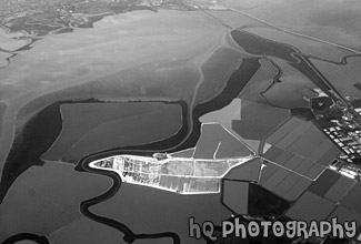 Aerial View of San Francisco Bay black and white picture