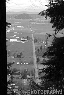 Mt. Peak View of Enumclaw Country