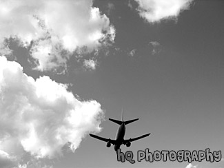 Airplane Overhead in Sky black and white picture