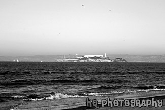 Black & White Alcatraz black and white picture