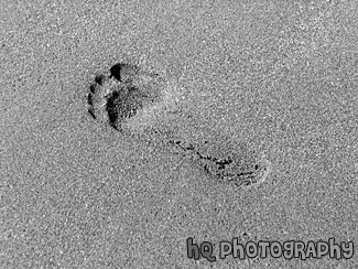 Footprint in Sand black and white picture