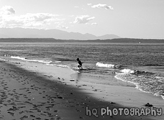 Kid & Beach black and white picture