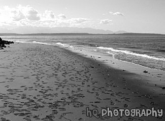 Beach at Alki black and white picture