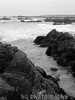 Pebble Beach 17 Mile Scenic Route black and white picture