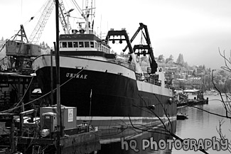 Big Boat in Seattle black and white picture