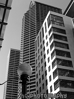 Tall Structures in Seattle black and white picture