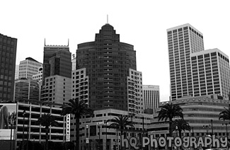 San Francisco City Buildings black and white picture