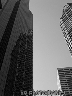 Tall Buildings black and white picture