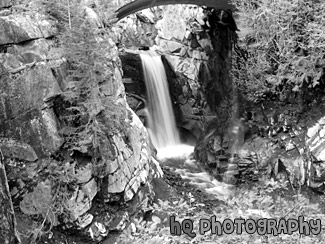 Christine Falls, Mt. Rainier National Forest black and white picture