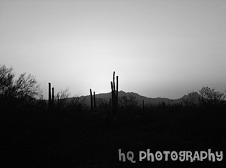 Sunset in Arizona black and white picture