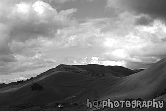 Green Hills of San Jose black and white picture