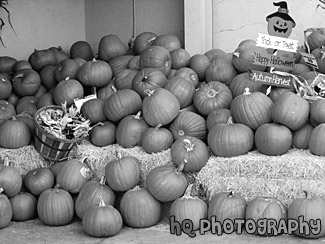 Halloween Pumpkins black and white picture