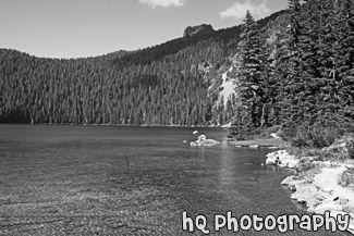 Mowich Lake black and white picture