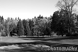 Scenic Landscape of Golf Course black and white picture