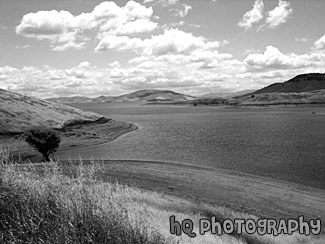 California Lake Scene black and white picture