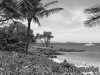 Beautiful Maui, Boat, and Pacific Ocean black and white picture