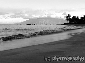 Beach & Ocean at Sunrise black and white picture