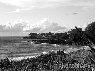 Waves of Maui black and white picture