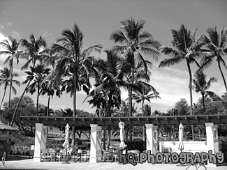 Resort & Pool at Makena Resort, Hawaii black and white picture