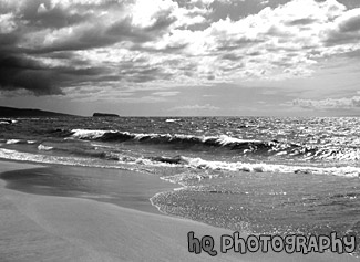 Maui Waves & Beach black and white picture