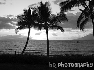 Maui Sunset black and white picture