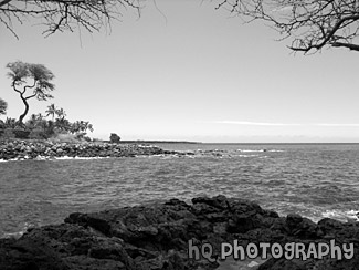 Pacific Ocean, Maui black and white picture