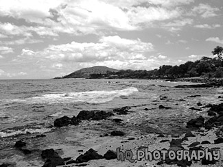 Maui Landscape black and white picture