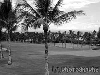 Maui Golf Course black and white picture