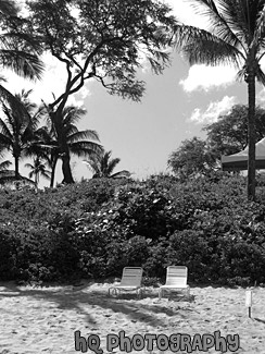 Two Lawn Chairs on Beach black and white picture