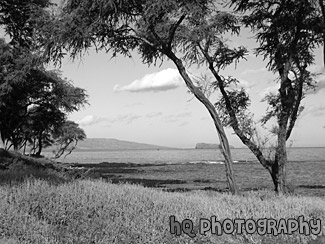 View of Maui & Ocean black and white picture