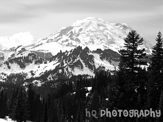 Mt. Rainier Close Up at Tipsoo Lake black and white picture