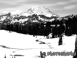 Mt. Rainier at Snowy Tipsoo Lake black and white picture