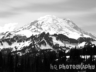 Close up of Mt. Rainier at Tipsoo Lake black and white picture