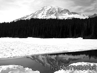 Mt. Rainier at Snow Covered Reflection Lake black and white picture