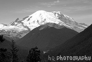 Mt. Rainier Near White River Entrance black and white picture