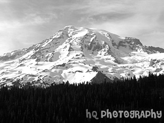 Big Mt. Rainier black and white picture