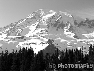 Mount Rainier at Paradise Park black and white picture