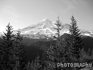 Blue Sky & Mt. Rainier black and white picture