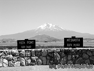 View of Mt. Shasta black and white picture