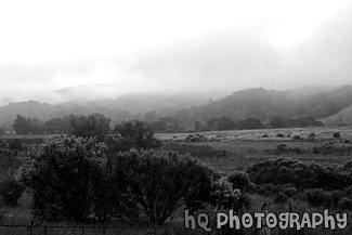 Foggy Landscape Scene black and white picture