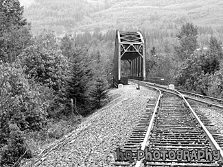 Old Railroad Bridge black and white picture