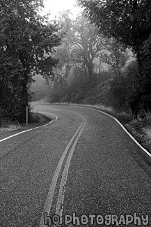 View of a Road black and white picture