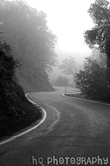 Curvy Road with Fog black and white picture