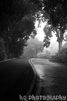 Road with Fog & Shadows black and white picture